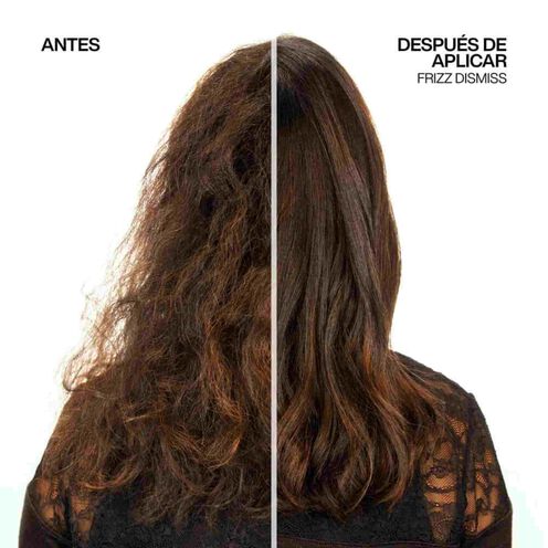 FRIZZ DISMISS - Redken | L'Oréal Partner Shop